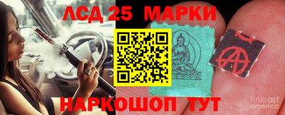 ГАЛЛЮЦИНОГЕННЫЕ ГРИБЫ Аргун