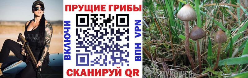 Псилоцибиновые грибы Magic Shrooms Ипатово