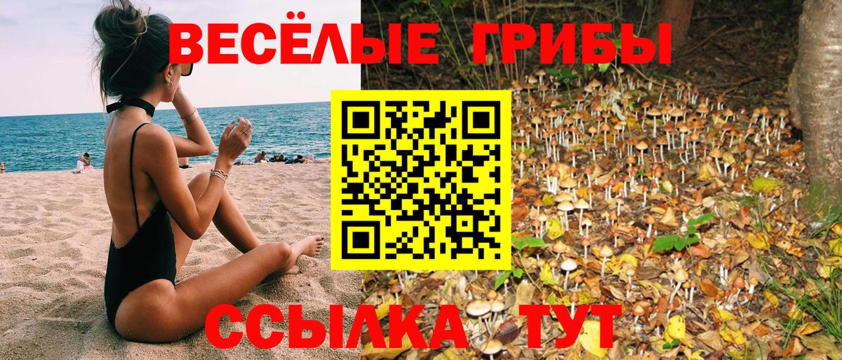 Ипатово  Канабис  Конопля  Вход с VPN  Мефедрон  Альфа ПВП  Кодеин 