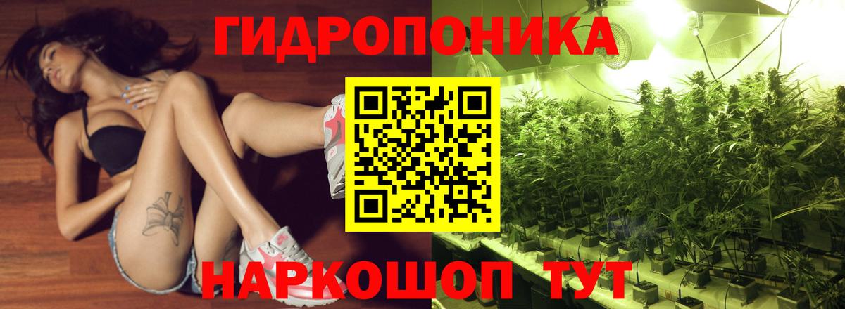 Каннабис сатива Ипатово